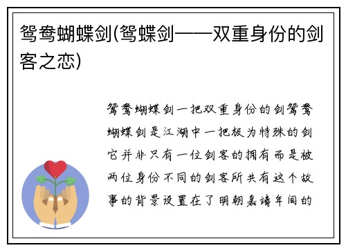 鸳鸯蝴蝶剑(鸳蝶剑——双重身份的剑客之恋)